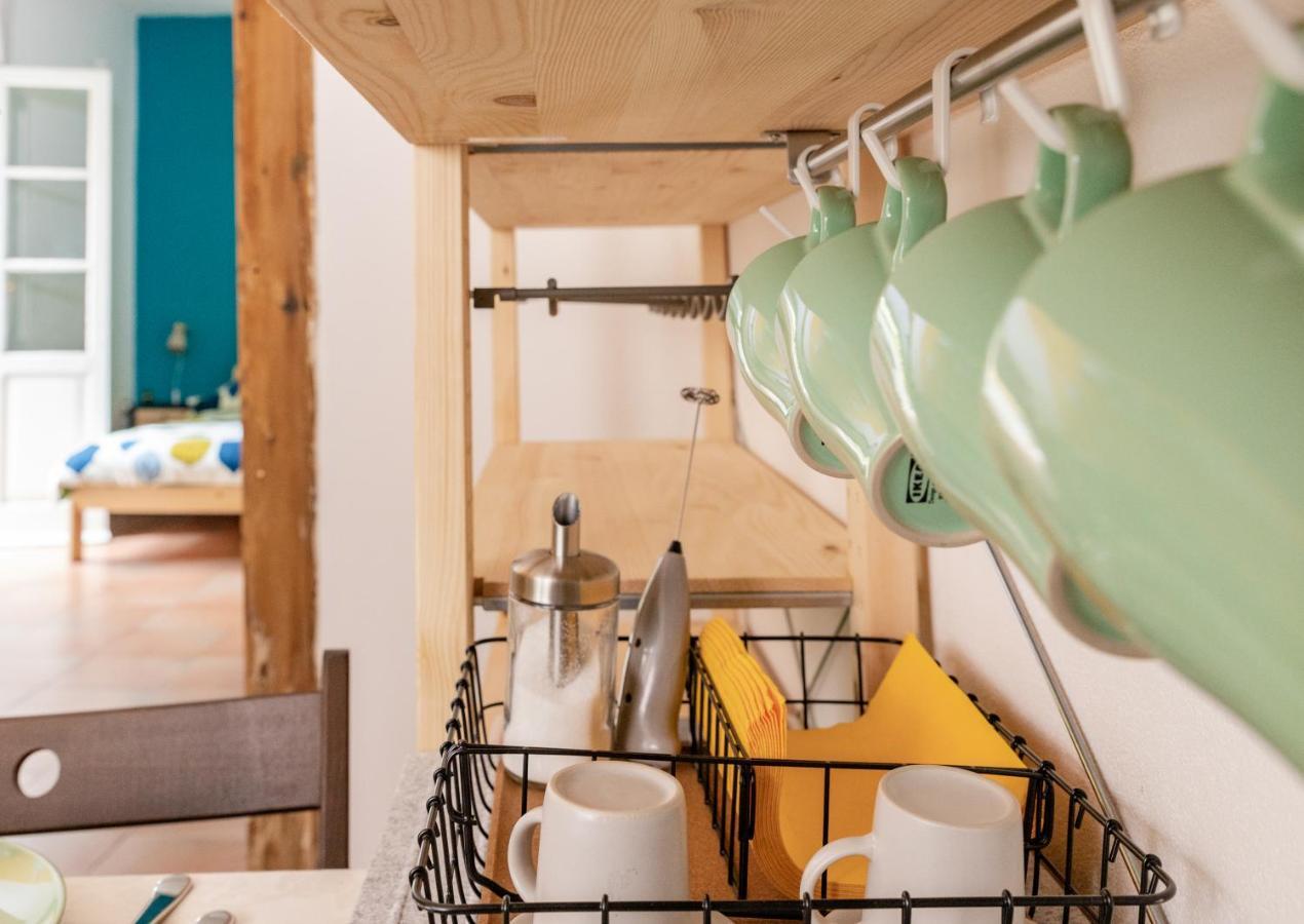 Marylou Gardenhouse Apartment Пиза Екстериор снимка