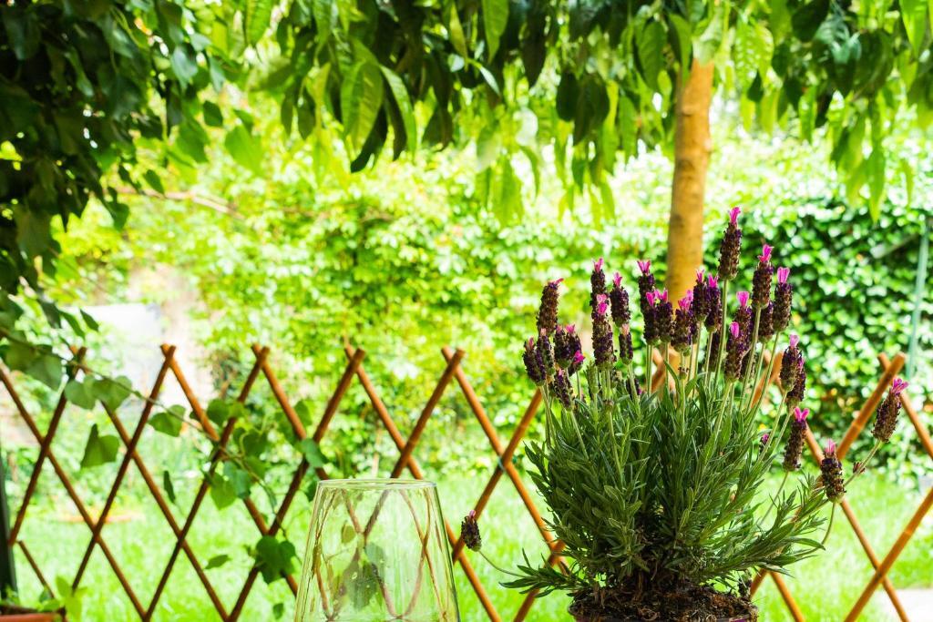 Marylou Gardenhouse Apartment Пиза Екстериор снимка